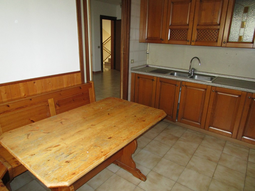 Omnia Studio