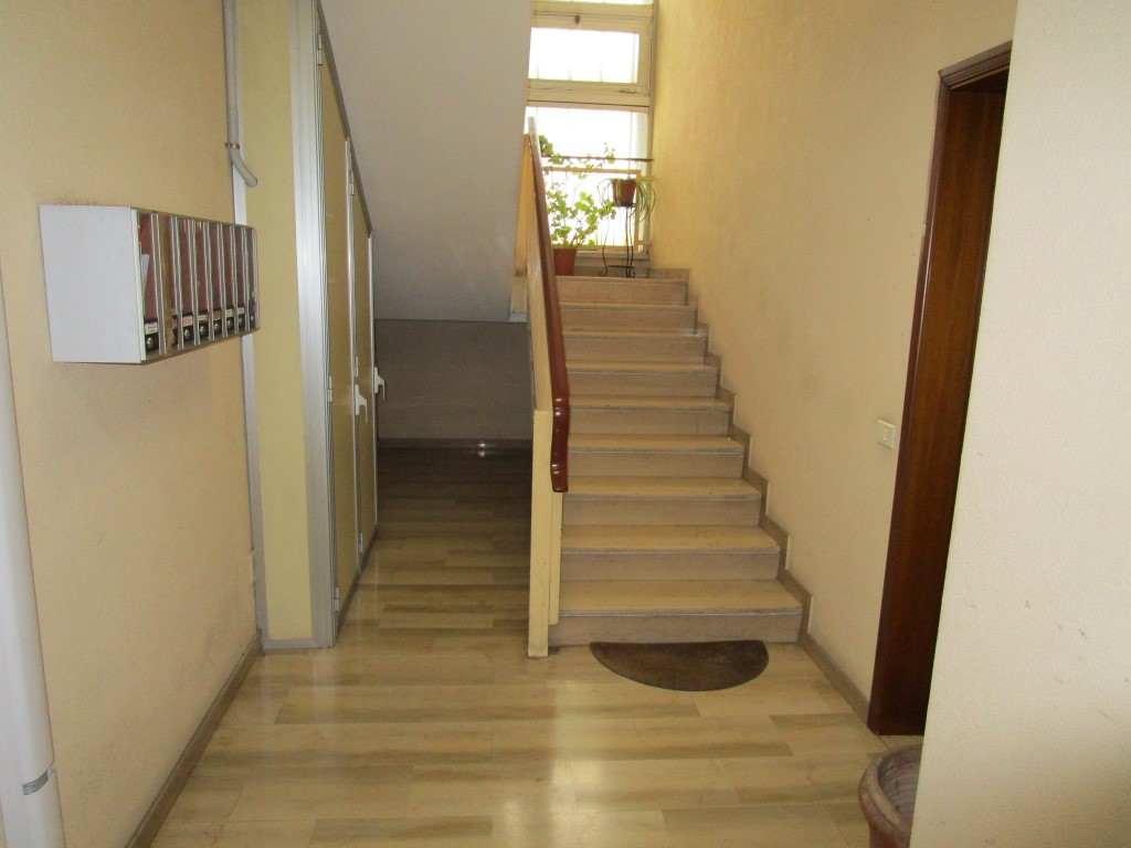 Omnia Studio