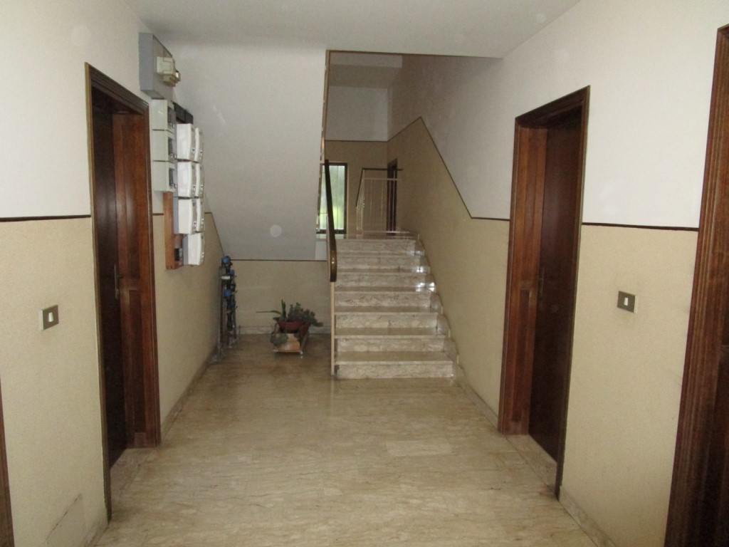 Omnia Studio
