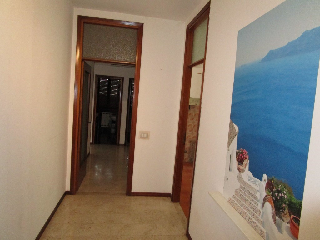 Omnia Studio