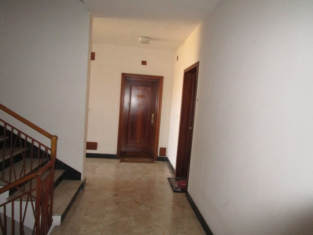 Omnia Studio