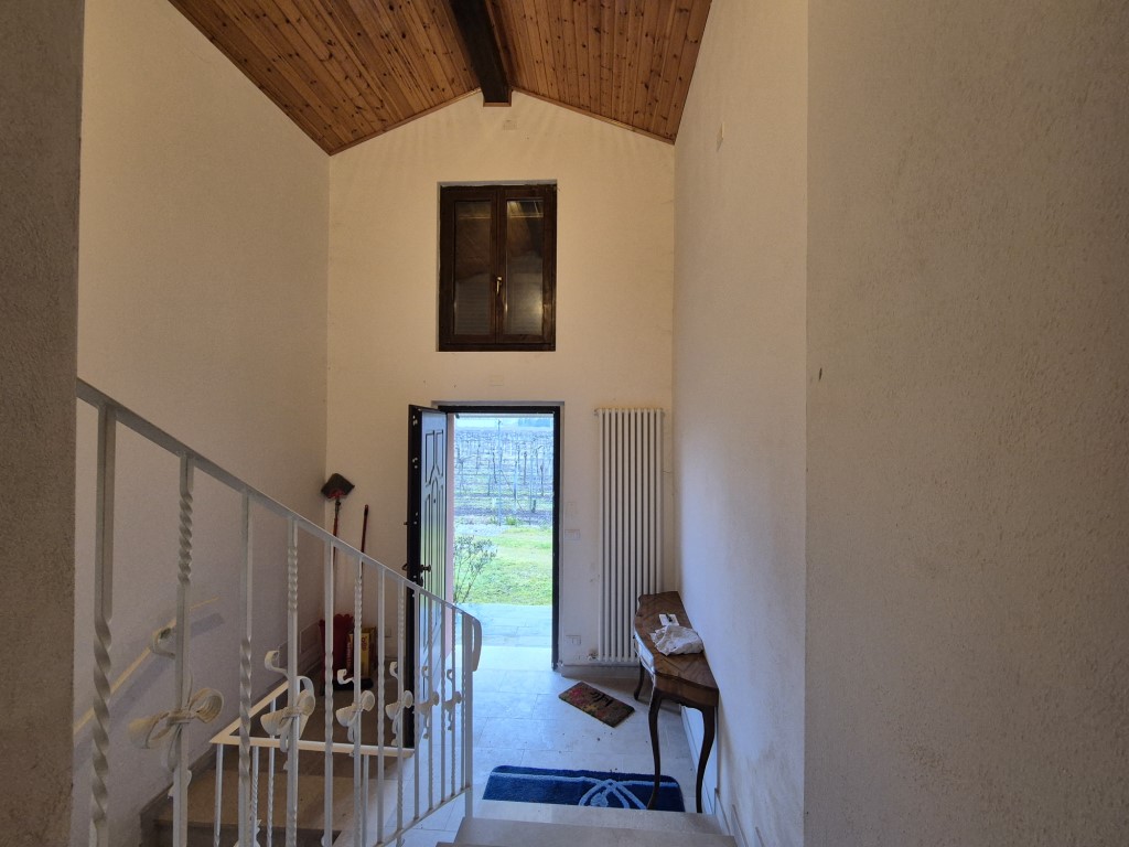 Omnia Studio