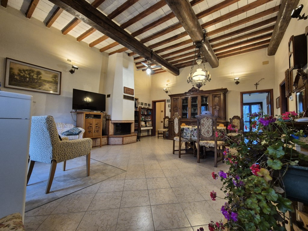 Omnia Studio