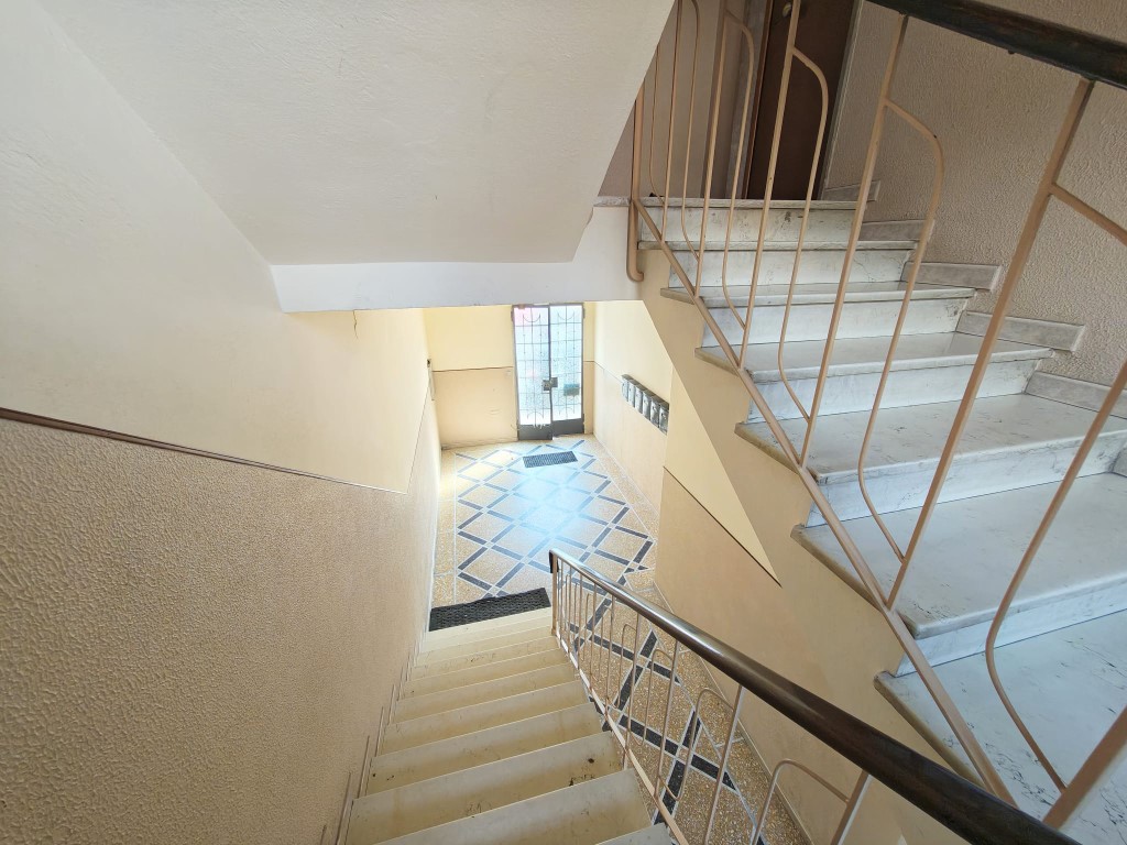 Omnia Studio