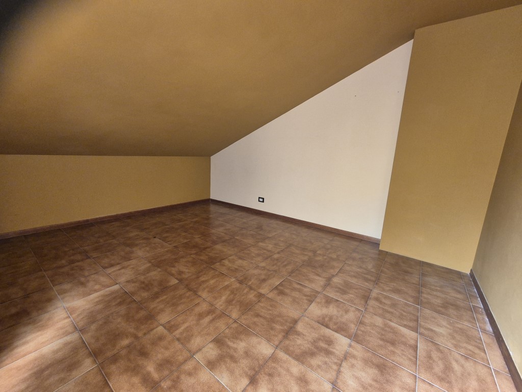 Omnia Studio