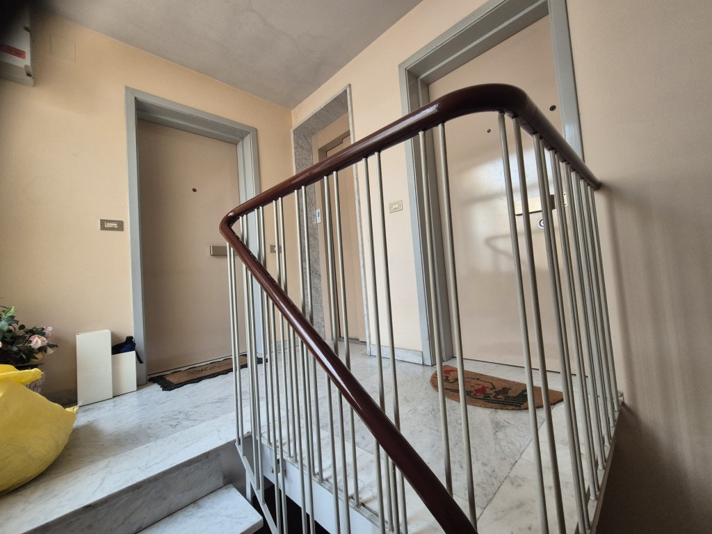 Omnia Studio