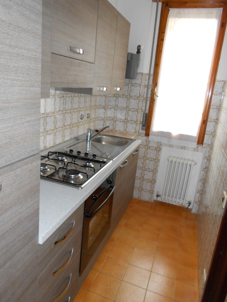 Omnia Studio