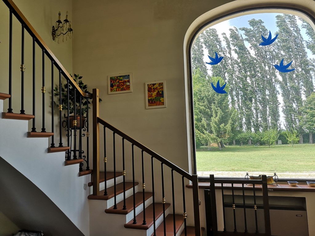 Omnia Studio