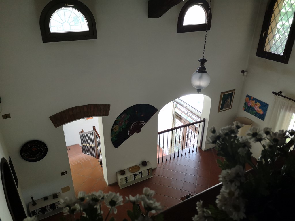 Omnia Studio