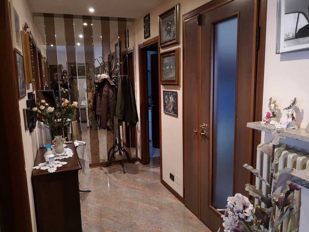 Omnia Studio