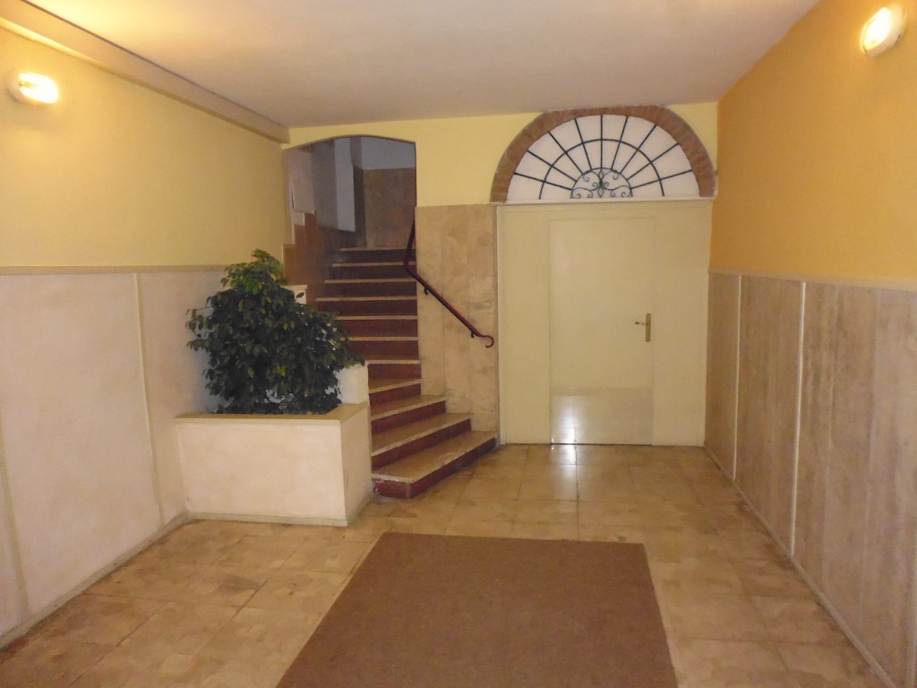 Omnia Studio